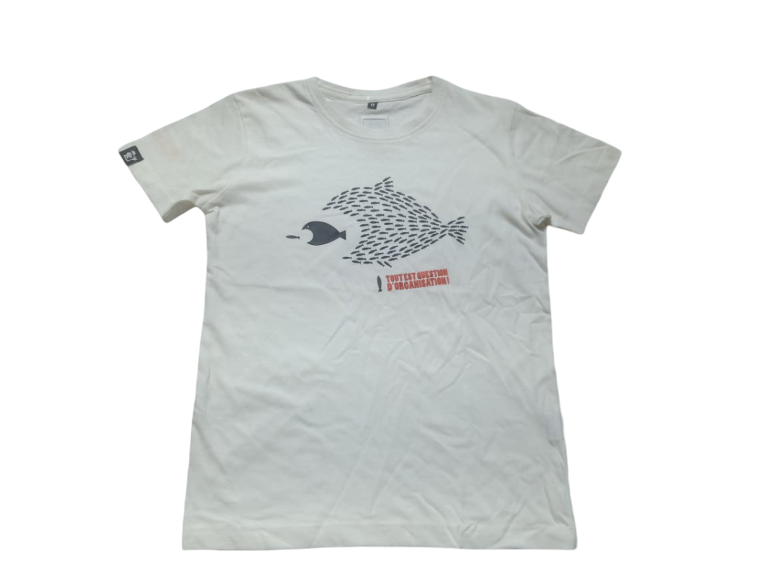 T-Shirt , Polo Shirt, Tank Top, Sweat Shirt,  Shirt, Hoodie, Pant, Short Pant & Trouser.