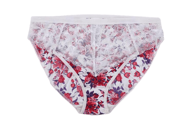 Bra, Boy shorts, Panties, G-string, Bralette, Chemises, Body stocking & Strapless bras.