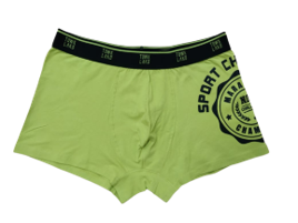 Bra, Boy shorts, Panties, G-string, Bralette, Chemises, Body stocking & Strapless bras.