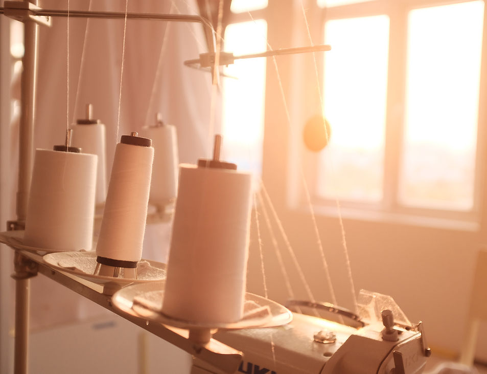 Our Future Sustainability Goals